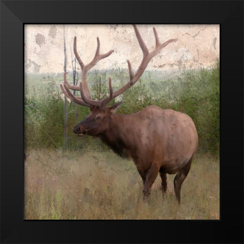 Elk Stride Black Modern Wood Framed Art Print by Allen, Kimberly
