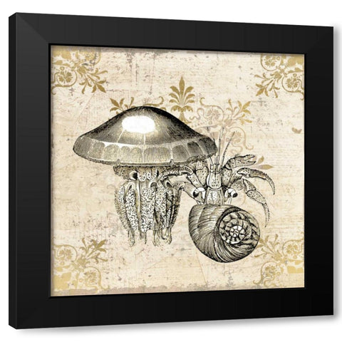 Marine Life Black Modern Wood Framed Art Print with Double Matting by Allen, Kimberly