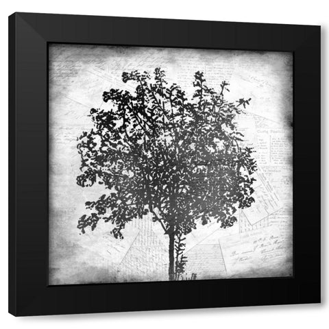 Tree Silhouette Black and White 2 Black Modern Wood Framed Art Print by Allen, Kimberly