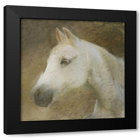 Graceful Horse Black Modern Wood Framed Art Print with Double Matting by Allen, Kimberly