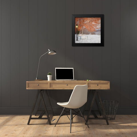 A Change of Seasons Black Modern Wood Framed Art Print by Kimberly, Allen