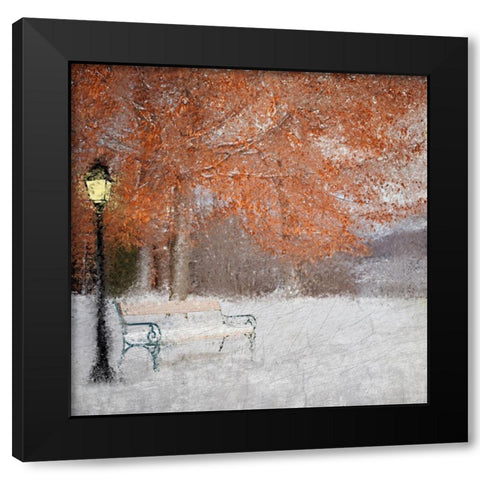 A Change of Seasons Black Modern Wood Framed Art Print with Double Matting by Kimberly, Allen