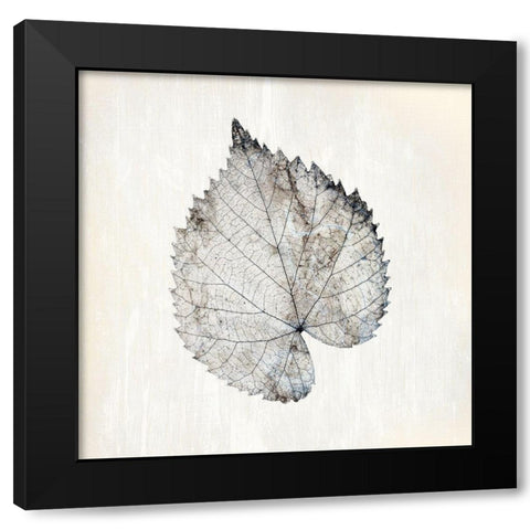 Marbled White 1 Black Modern Wood Framed Art Print by Kimberly, Allen