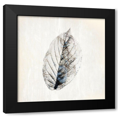 Marbled White 2 Black Modern Wood Framed Art Print with Double Matting by Kimberly, Allen
