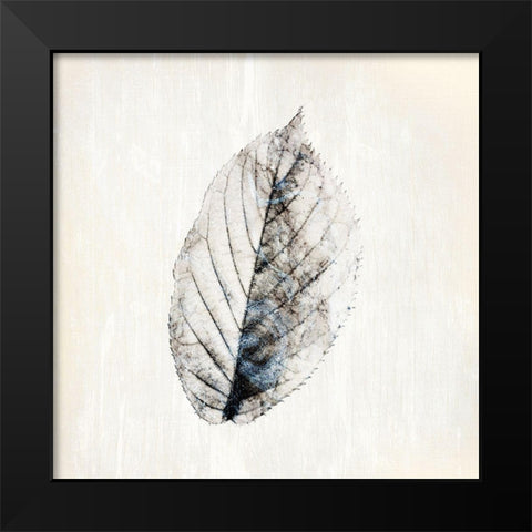Marbled White 2 Black Modern Wood Framed Art Print by Kimberly, Allen