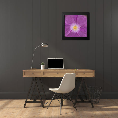 Purple Bloom 2 Black Modern Wood Framed Art Print by Kimberly, Allen