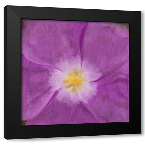 Purple Bloom 2 Black Modern Wood Framed Art Print with Double Matting by Kimberly, Allen