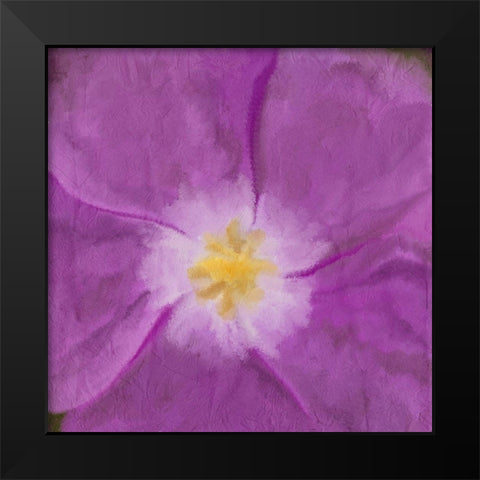 Purple Bloom 2 Black Modern Wood Framed Art Print by Kimberly, Allen