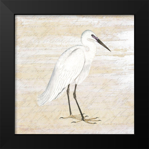 Shore Birds 1 Black Modern Wood Framed Art Print by Kimberly, Allen