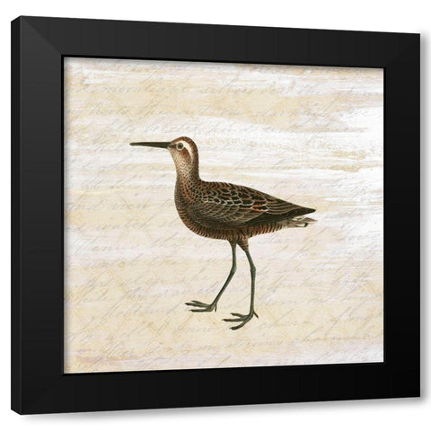 Shore Birds 2 Black Modern Wood Framed Art Print by Kimberly, Allen