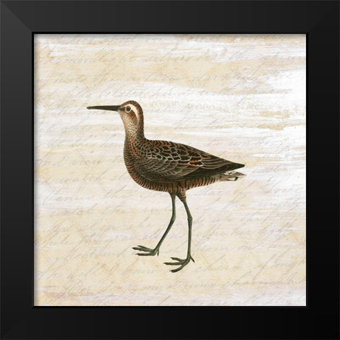 Shore Birds 2 Black Modern Wood Framed Art Print by Kimberly, Allen