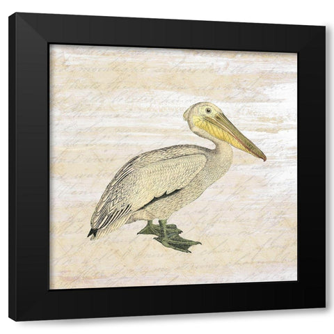 Shore Birds 3 Black Modern Wood Framed Art Print with Double Matting by Kimberly, Allen