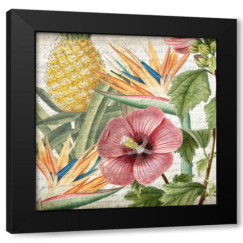 My Tropics 1 Black Modern Wood Framed Art Print with Double Matting by Kimberly, Allen