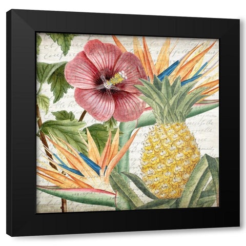 My Tropics 2 Black Modern Wood Framed Art Print with Double Matting by Kimberly, Allen