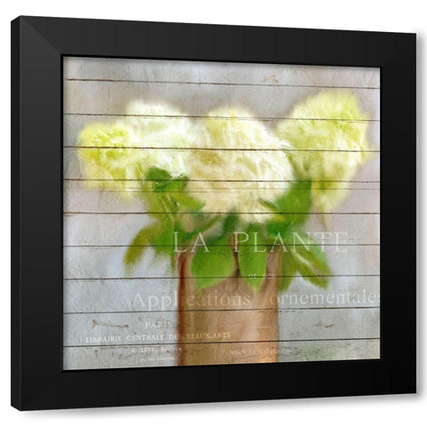 Hydrangeas in Copper Black Modern Wood Framed Art Print by Kimberly, Allen