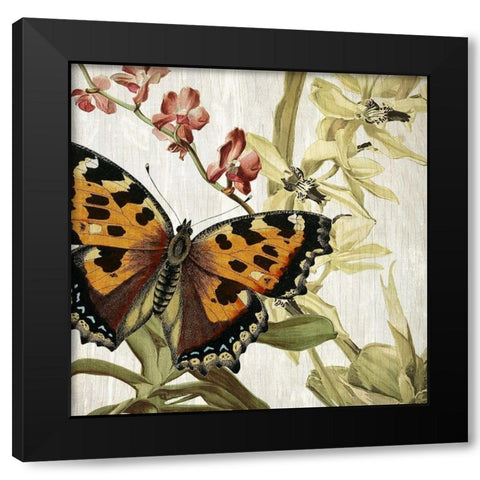 Butterfly World 2 Black Modern Wood Framed Art Print with Double Matting by Kimberly, Allen