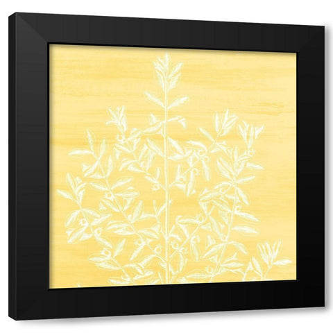 Botanical Bright 2 Black Modern Wood Framed Art Print with Double Matting by Kimberly, Allen