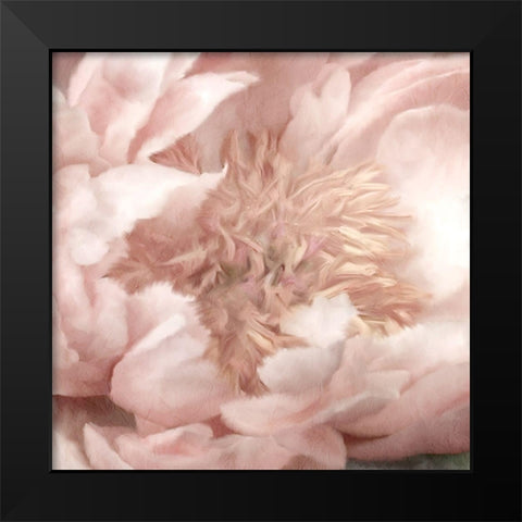 Peony Center Black Modern Wood Framed Art Print by Kimberly, Allen