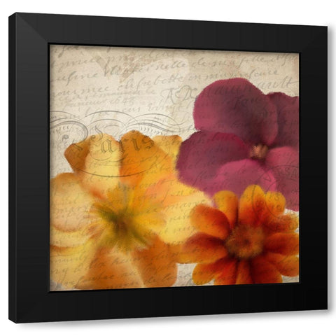 Autumn Blooms 1 Black Modern Wood Framed Art Print with Double Matting by Kimberly, Allen