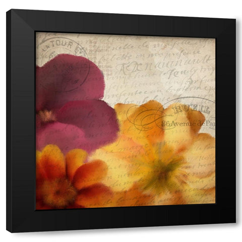 Autumn Blooms 2 Black Modern Wood Framed Art Print with Double Matting by Kimberly, Allen