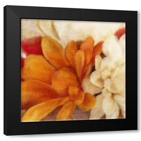 Full Bloom 1 Black Modern Wood Framed Art Print by Kimberly, Allen