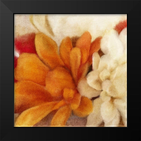 Full Bloom 1 Black Modern Wood Framed Art Print by Kimberly, Allen