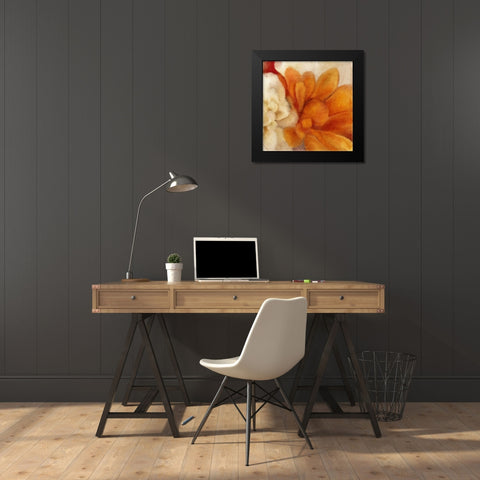 Full Bloom 2 Black Modern Wood Framed Art Print by Kimberly, Allen