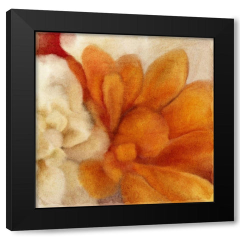 Full Bloom 2 Black Modern Wood Framed Art Print with Double Matting by Kimberly, Allen