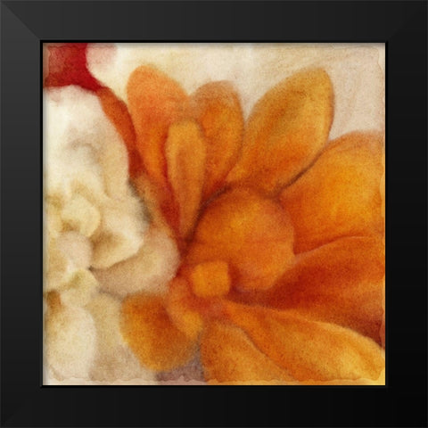 Full Bloom 2 Black Modern Wood Framed Art Print by Kimberly, Allen