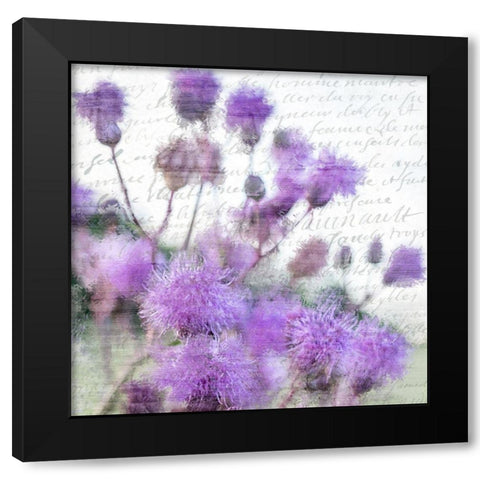 Purple Thistle 1 Black Modern Wood Framed Art Print with Double Matting by Kimberly, Allen