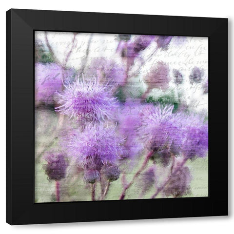 Purple Thistle 2 Black Modern Wood Framed Art Print with Double Matting by Kimberly, Allen