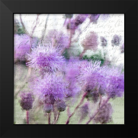 Purple Thistle 2 Black Modern Wood Framed Art Print by Kimberly, Allen