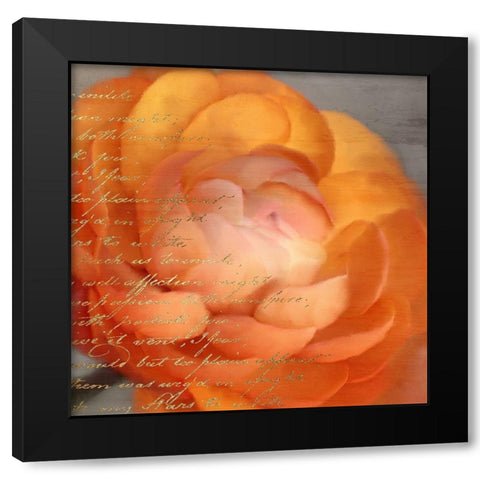 Ranunculus Orange Black Modern Wood Framed Art Print with Double Matting by Kimberly, Allen