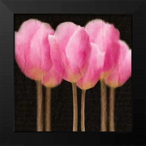 Pink Tulips Black Modern Wood Framed Art Print by Kimberly, Allen