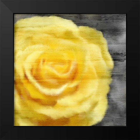 Yellow Rose Black Modern Wood Framed Art Print by Kimberly, Allen