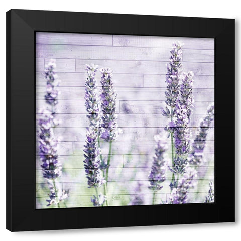 Lavender Fields 1 Black Modern Wood Framed Art Print by Kimberly, Allen