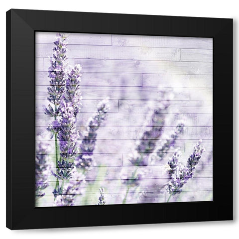 Lavender Fields 2 Black Modern Wood Framed Art Print with Double Matting by Kimberly, Allen