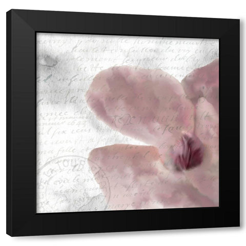 Magnolia Bloom 2 Black Modern Wood Framed Art Print with Double Matting by Kimberly, Allen