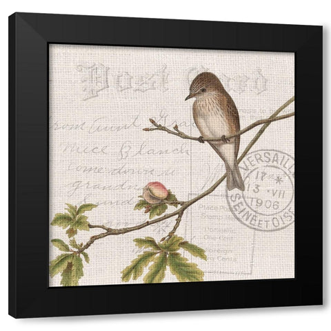 Summer Song 1 Black Modern Wood Framed Art Print with Double Matting by Kimberly, Allen