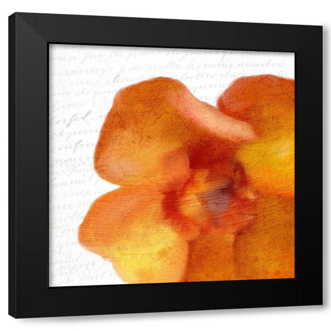 Bold Bloom 2 Black Modern Wood Framed Art Print with Double Matting by Kimberly, Allen