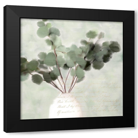 Eucalyptus 1 Black Modern Wood Framed Art Print with Double Matting by Kimberly, Allen