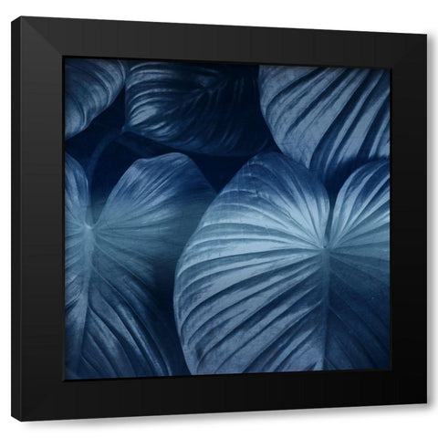 Tropic Indigo Black Modern Wood Framed Art Print with Double Matting by Kimberly, Allen