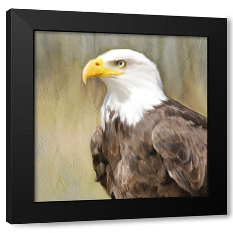 Eagle Eye Black Modern Wood Framed Art Print by Kimberly, Allen