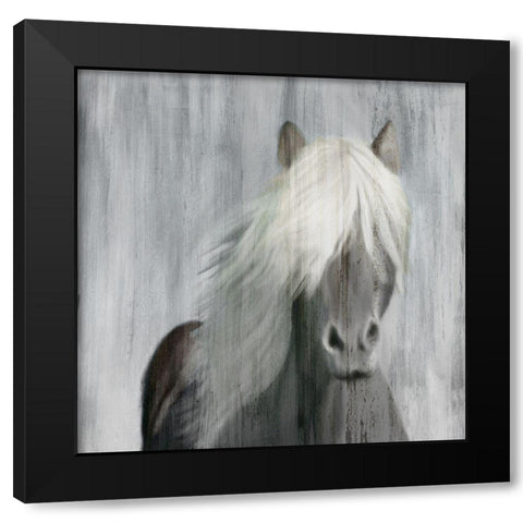 White Mane Black Modern Wood Framed Art Print with Double Matting by Kimberly, Allen