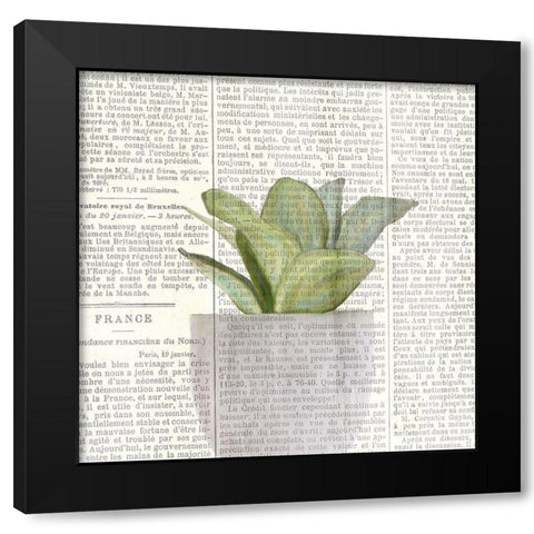 Potted Print 2 Black Modern Wood Framed Art Print with Double Matting by Kimberly, Allen