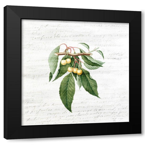 Cherries 1 Black Modern Wood Framed Art Print with Double Matting by Kimberly, Allen