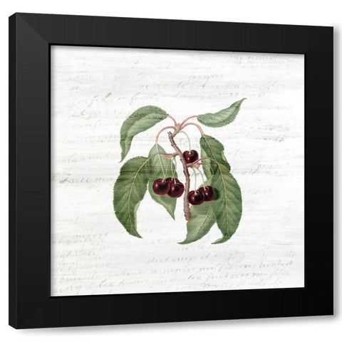 Cherries 2 Black Modern Wood Framed Art Print with Double Matting by Kimberly, Allen