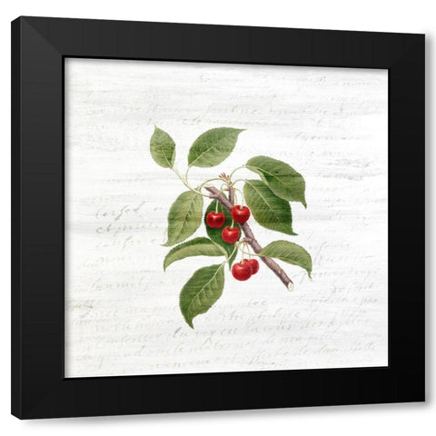 Cherries 3 Black Modern Wood Framed Art Print by Kimberly, Allen