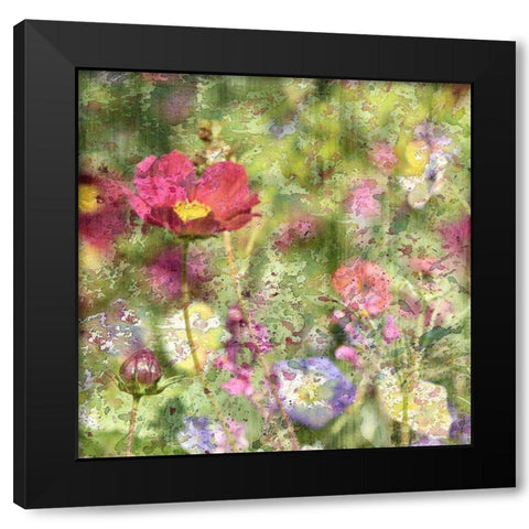 Wildflower Square 1 Black Modern Wood Framed Art Print by Kimberly, Allen