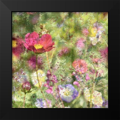 Wildflower Square 1 Black Modern Wood Framed Art Print by Kimberly, Allen